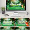 Văn Hóa động Vật Rừng Xanh